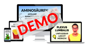 DEMO-Lernpaket von HappyHippocampus
